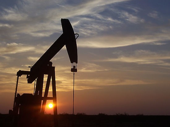 Иран приветствует вложение американскими компаниями инвестиций в нефтегазовые проекты - ảnh 1